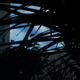 Image for article titled Plant Pornographer Goes Mainstream With Travel Movie For Plants
